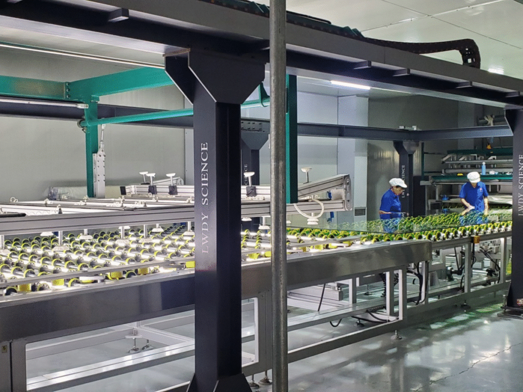 LEWEI lamination room